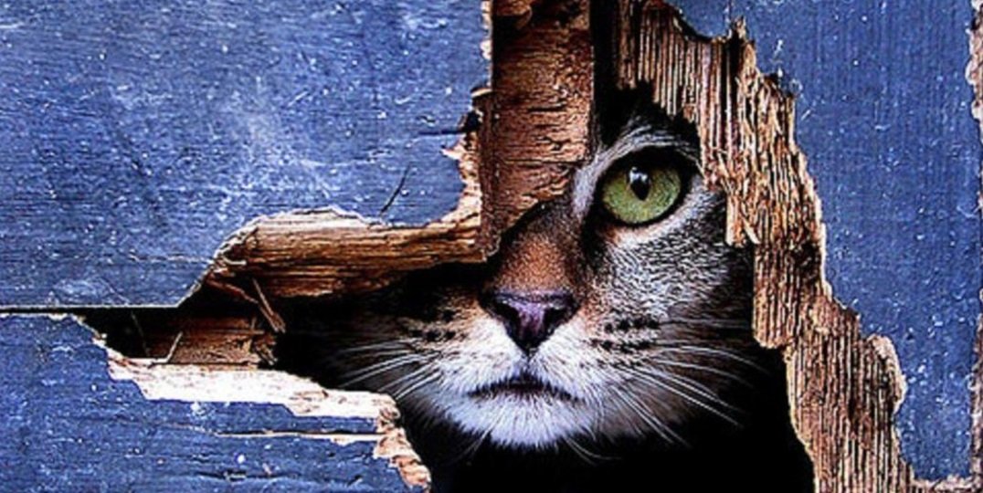 ASSEMBLEE SEMICLANDESTINE IN FVG?