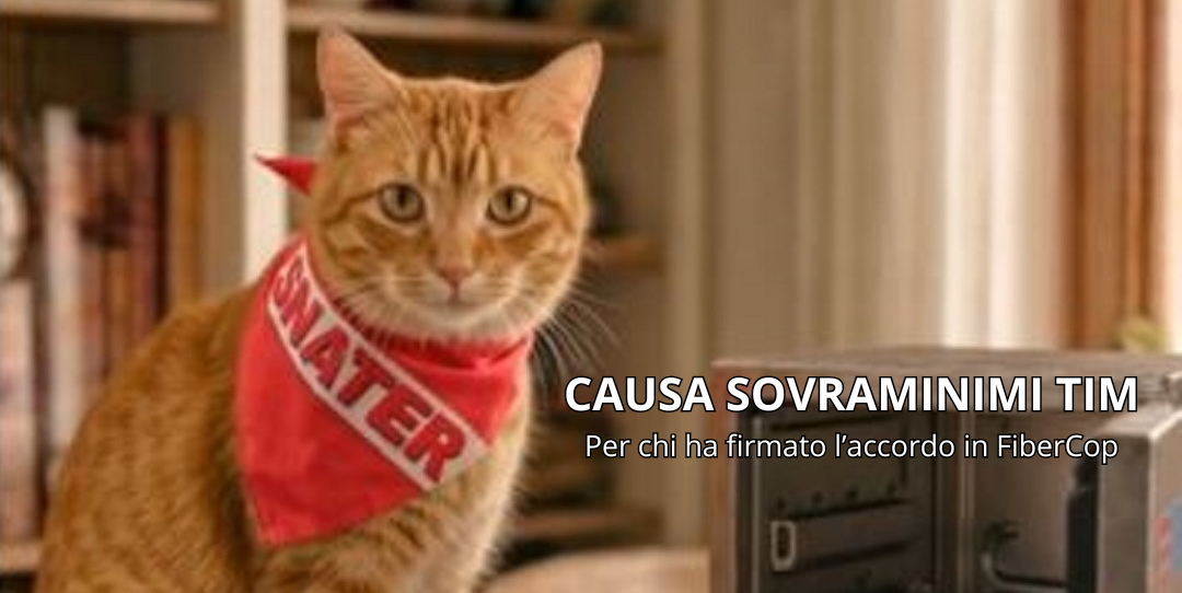 CAUSA SOVRAMINIMI TIM